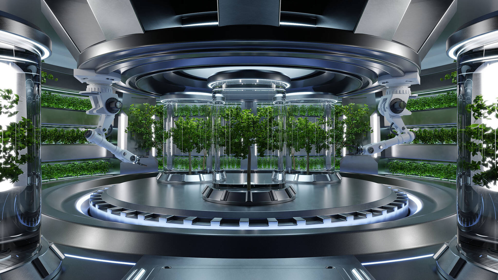 GO-UP-INCUBATOR for FORTES 