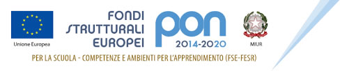 logo pon